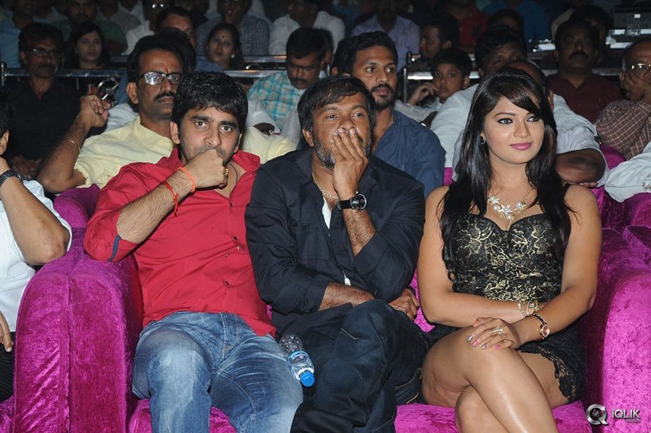 Hora-Hori-Movie-Audio-Launch